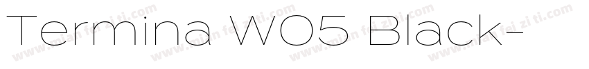 Termina W05 Black字体转换